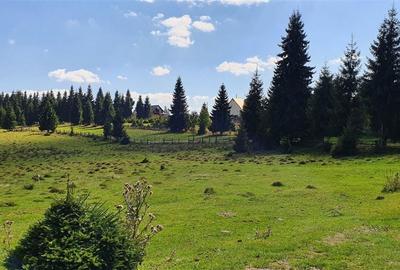 Teren de 1350 mp, în Beliș - 5