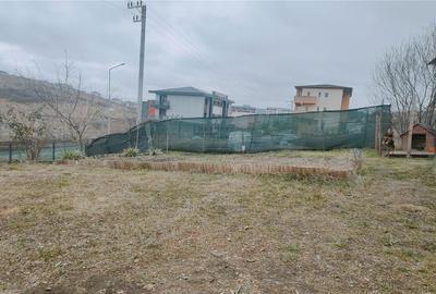 Casă cu 3 camere cu Teren 350 Mp în Bârnova - 5