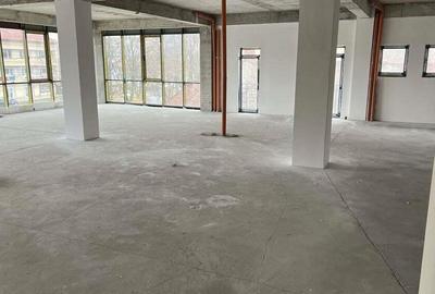 Spatiu Comercial-Birouri, 300mp, Et. 1, Cal. Torontalului - Bulevard! - 3