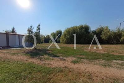 AX1158 Timisoara, Calea Urseni, Teren Intravilan, Toate Utilitatile - 2