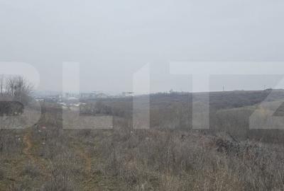 Teren Construcții intravilan de 10000 mp, în Nord-Est - 1