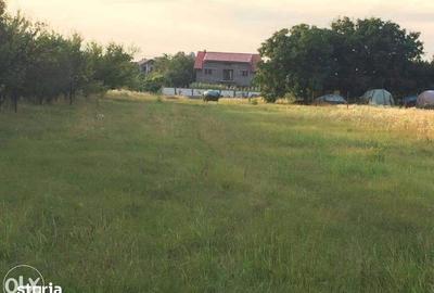 Teren de 3277 mp, în Snagov - 7