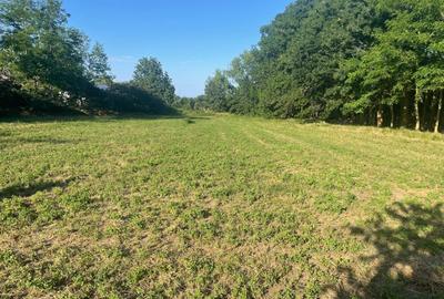 Teren intravilan 4.200 mp Murighiol - 16