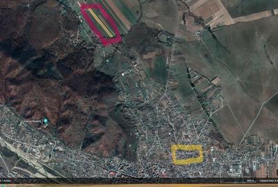 Teren de 11500 mp, în Târgu Neamț - 6