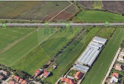 Teren agricol extravilan de 5316 mp, în Aradul Nou - 3