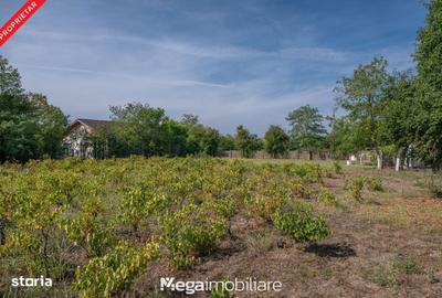 Spațiu comercial, în Potârnichea - 17