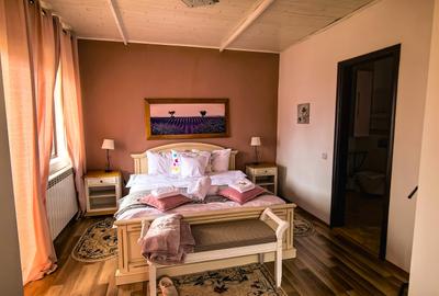 Casă individuală cu 5 camere cu Teren 4825 Mp în Est - 30