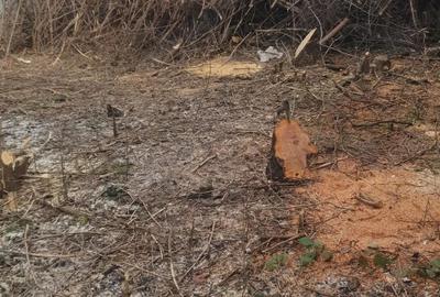 Casă cu Teren 475 Mp în Central - 5