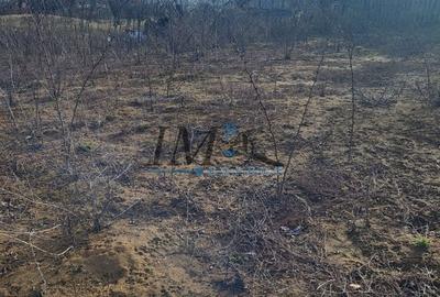 Teren Construcții intravilan de 1116 mp, în Pianu de Sus - 2