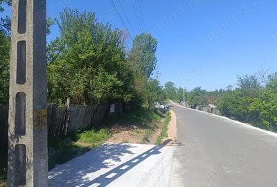 Casă cu 3 camere cu Teren 8900 Mp în Argetoaia