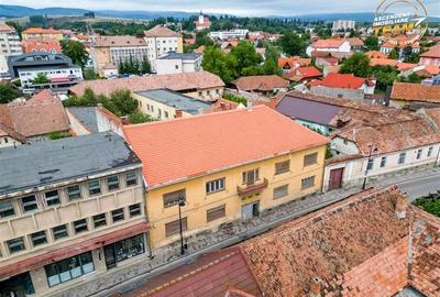 Casă individuală cu 65 camere în Central