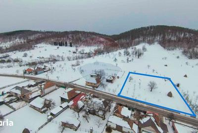 Teren de 3000 mp, în Bratca - 2