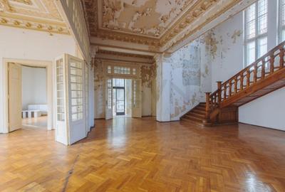 REV2000724 Vila deosebita Lascar Catargiu gradina mare - 5