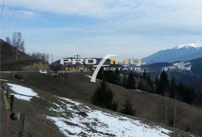 Teren de 3750 mp, în Moieciu - 11