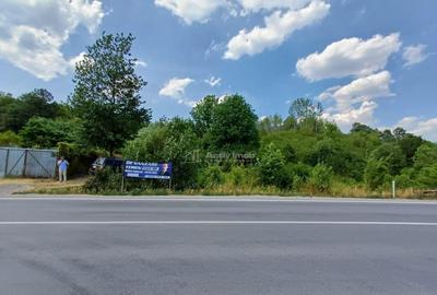 Resita, Terenuri Intravilane 2000 Mp., 28 Euro/Mp., Calea Ca - 11