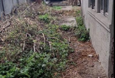 Casă cu 4 camere cu Teren 91 Mp în Central - 2