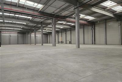 Spatii Industriale - 5000 mp - Logistica - Productie - Depozitare - 5
