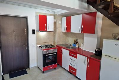 Apartament cu terasă și vedere panoramică 120 mp - 6