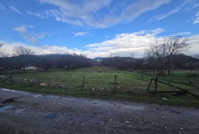 Teren de 8000 mp, în Vlădesti - 4