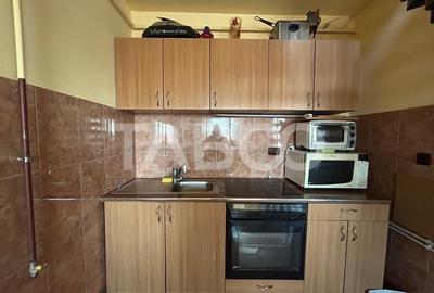 Apartament de vanzare 74 mpu pretabil investitie in zona Terezian - 3