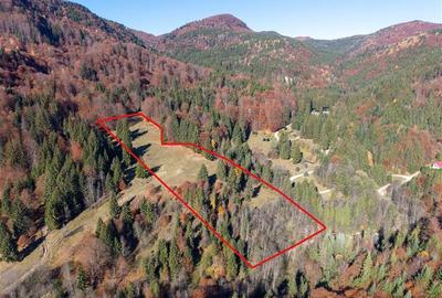 Teren Construcții extravilan de 20000 mp, în Siriu - 1