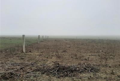 Teren de 10000 mp, în Fetești-Gară - 2