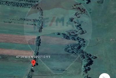 Teren intravilan Somcuta Mare! - 2