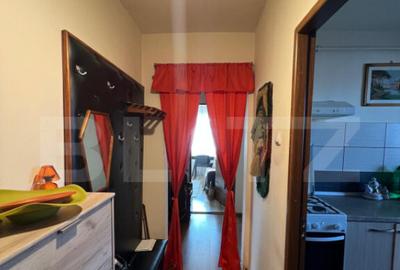 Apartament cu 3 camere decomandat, mobilat în Dâmbu Pietros - 5