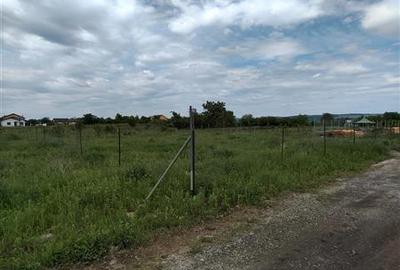 Teren intravilan de 559 mp, în Sângeorgiu de Mureș - 2