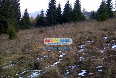 Teren pentru Complex Turistic - 12 730 mp - Vatra Dornei - 6