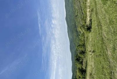 Vand teren extravilan - 4