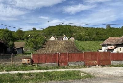 Spațiu comercial, în Ceuaș - 1