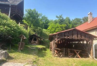 Casa - Vila Rustica - Casa de locuit sau Pensiune - 7