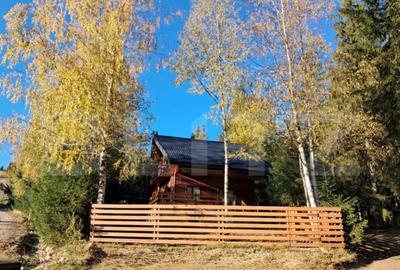 Casă cu 3 camere cu Teren 500 Mp în Central - 12