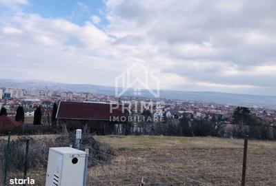 Spațiu comercial, în Cetate - 3