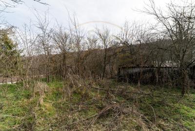 Teren de vanzare - 1221 mp in Budeasa Mica, zona linistita. - 5