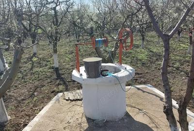 Teren în Dolina - 2