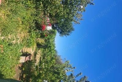 Casă cu 6 camere în Parța - 6