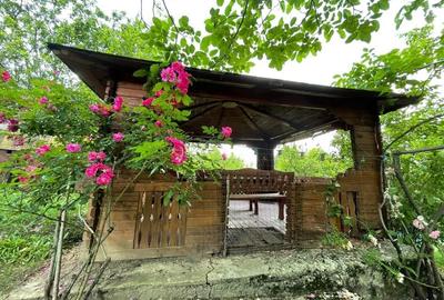 Avem un "Colt de rai" la Vanzare Avem un "Colt de rai" la Vanzare - 10