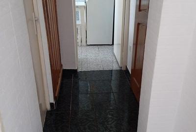 Garsonieră în Paltin - 2