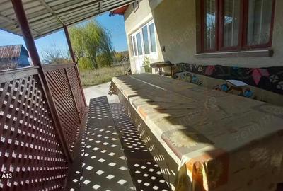 0% COMISION!!! CASA CU LAC IN INIMA PADURII - DEALU BRADULUI - 3