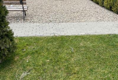 Apartament cu 3 camere decomandat în Torontalului - 2