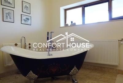 VILA SUPERBA IN IANCU NICOLAE - 14