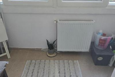 Vand apartament 2 camere in Deva, Piata Centrala, dec. parter - 4
