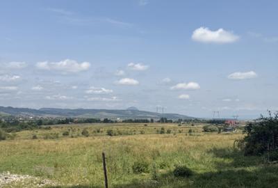 Teren intravilan 500 mp - Tohanul Nou Teren intravilan 500 mp - Tohanul Nou - 5