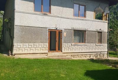 Casă cu 6 camere cu Teren 2559 Mp în Peștișani - 15