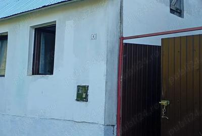 Vand casa de vacan?a in ANINA, jud Cara? Severin - 3