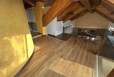 Proprietate cu piscina Dumbravita - 26