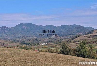 Teren de 18000 mp, în Bârsău - 2