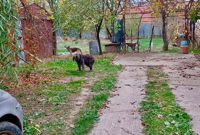 Casă cu 6 camere în Iezureni - 5